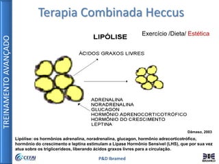TREINAMENTOAVANÇADO
P&D Ibramed
Terapia Combinada Heccus
Lipólise: os hormônios adrenalina, noradrenalina, glucagon, hormônio adrecorticotrófico,
hormônio do crescimento e leptina estimulam a Lipase Hormônio Sensível (LHS), que por sua vez
atua sobre os triglicerídeos, liberando ácidos graxos livres para a circulação.
Exercício /Dieta/ Estética
Dâmaso, 2003
 