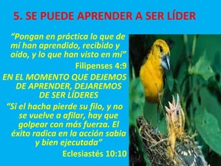 5. SE PUEDE APRENDER A SER LÍDER “ Pongan en práctica lo que de mí han aprendido, recibido y oído, y lo que han visto en mí” Filipenses 4:9 EN EL MOMENTO QUE DEJEMOS DE APRENDER, DEJAREMOS DE SER LÍDERES “ Si el hacha pierde su filo, y no se vuelve a afilar, hay que golpear con más fuerza. El éxito radica en la acción sabia y bien ejecutada” Eclesiastés 10:10 