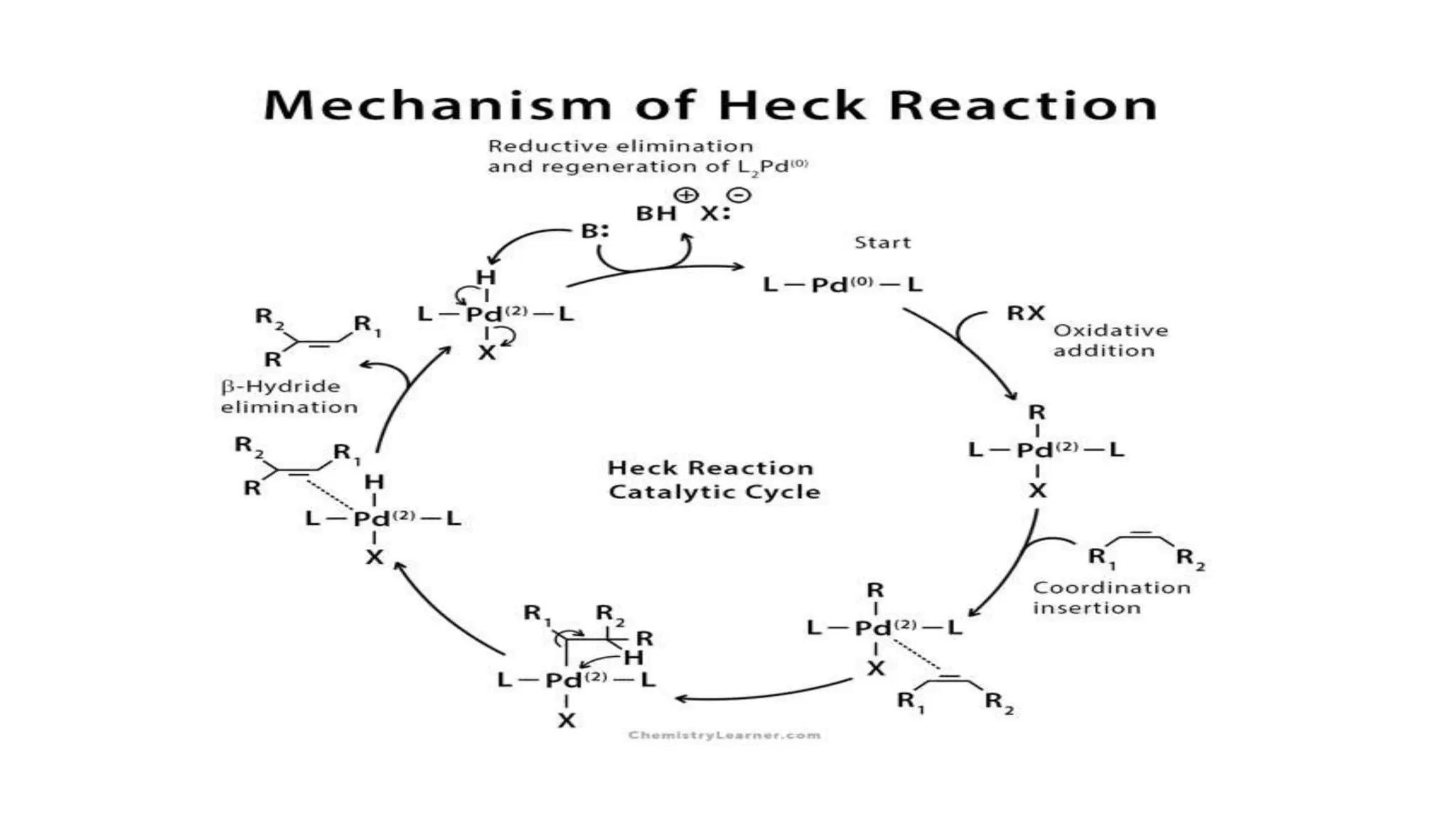HECk Reaction Green Vrs Conventional pptx HECk Reaction Green Vrs Conventional pptx