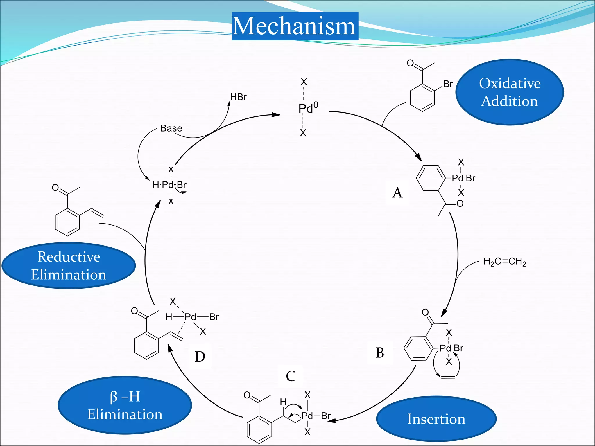 Mechanism
Oxidative
Addition
β –H
Elimination
Reductive
Elimination
Insertion
A
B
C
D