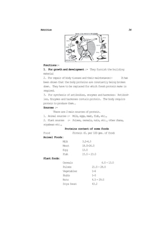 Hecp Example Hecp | PDF