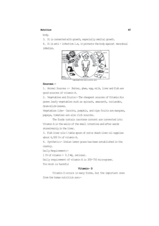 Hecp Example Hecp | PDF
