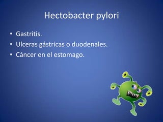 Hectobacter pylori
• Gastritis.
• Ulceras gástricas o duodenales.
• Cáncer en el estomago.

 
