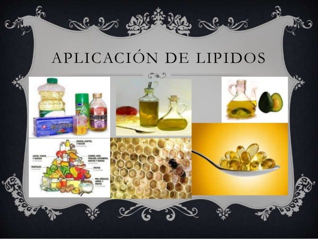 Los lipidos
