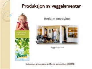 Produksjon av veggelementer Ekskursjons presentasjon av Øyvind Lensebakken (080443) 