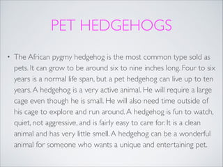 PET HEDGEHOGS
•

The African pygmy hedgehog is the most common type sold as
pets. It can grow to be around six to nine inches long. Four to six
years is a normal life span, but a pet hedgehog can live up to ten
years. A hedgehog is a very active animal. He will require a large
cage even though he is small. He will also need time outside of
his cage to explore and run around. A hedgehog is fun to watch,
quiet, not aggressive, and is fairly easy to care for. It is a clean
animal and has very little smell. A hedgehog can be a wonderful
animal for someone who wants a unique and entertaining pet.

 