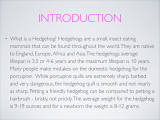 INTRODUCTION
•

What is a Hedgehog? Hedgehogs are a small, insect eating
mammals that can be found throughout the world. They are native
to England, Europe, Africa and Asia. The hedgehogs average
lifespan is 3.5 or 4-6 years and the maximum lifespan is 10 years.
Many people make mistakes on the domestic hedgehog for the
porcupine. While porcupine quills are extremely sharp, barbed
and very dangerous, the hedgehog quill is smooth and not nearly
as sharp. Petting a friendly hedgehog can be compared to petting a
hairbrush - bristly, not prickly. The average weight for the hedgehog
is 9-19 ounces and for a newborn the weight is 8-12 grams.

 