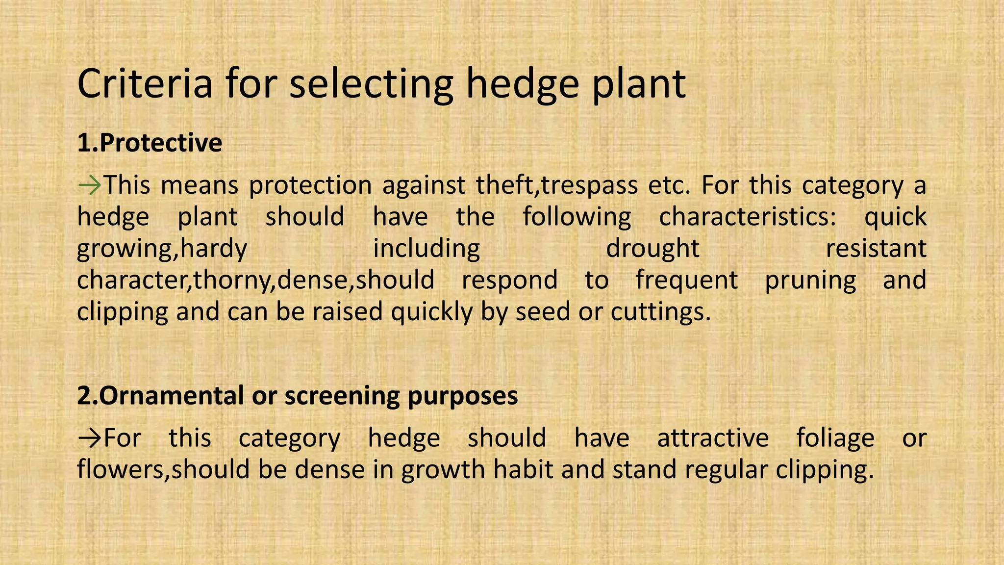 Hedge | PPTX
