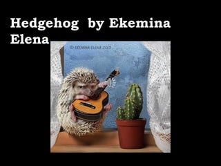 Hedgehog by Ekemina
Elena
 
