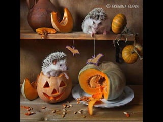 Hedgehog by Ekemina Elena
