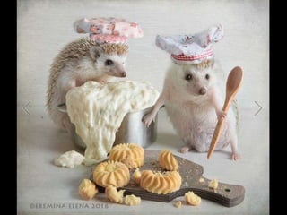 Hedgehog by Ekemina Elena