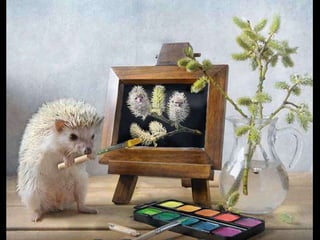 Hedgehog by Ekemina Elena