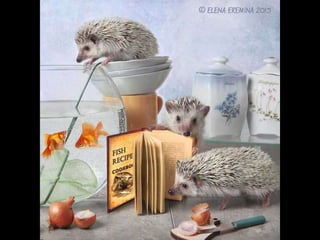 Hedgehog by Ekemina Elena