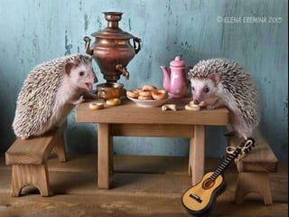 Hedgehog by Ekemina Elena