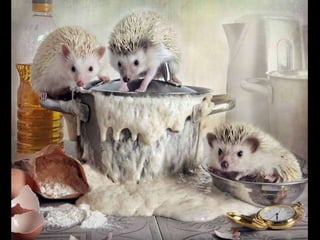 Hedgehog by Ekemina Elena