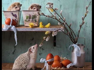 Hedgehog by Ekemina Elena