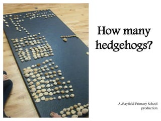 How many
hedgehogs?
A Mayfield Primary School
production
 