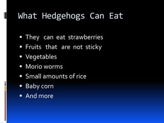 What Hedgehogs Can Eat
 They can eat strawberries
 Fruits that are not sticky
 Vegetables
 Morio worms
 Small amounts of rice
 Baby corn
 And more
 
