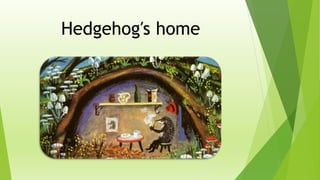 Hedgehog′s home
 