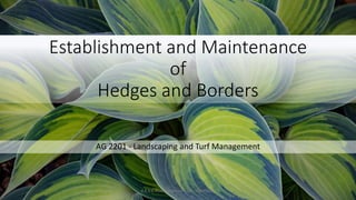 Establishment and Maintenance
of
Hedges and Borders
AG 2201 - Landscaping and Turf Management
P.A.S.S. PUshpakumara | ATI - GAMPAHA
 