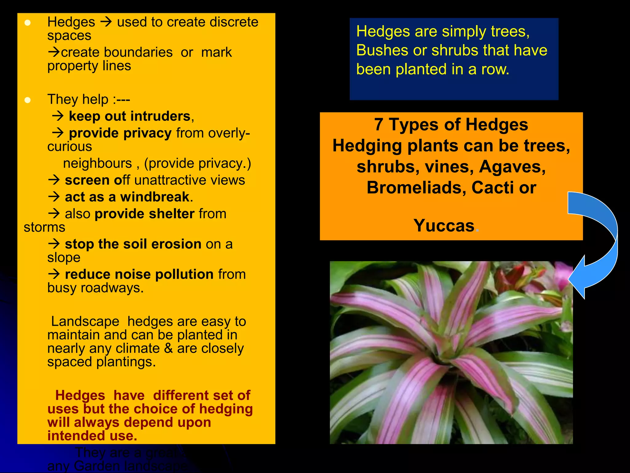 Hedges , edges & topiary ed | PPT