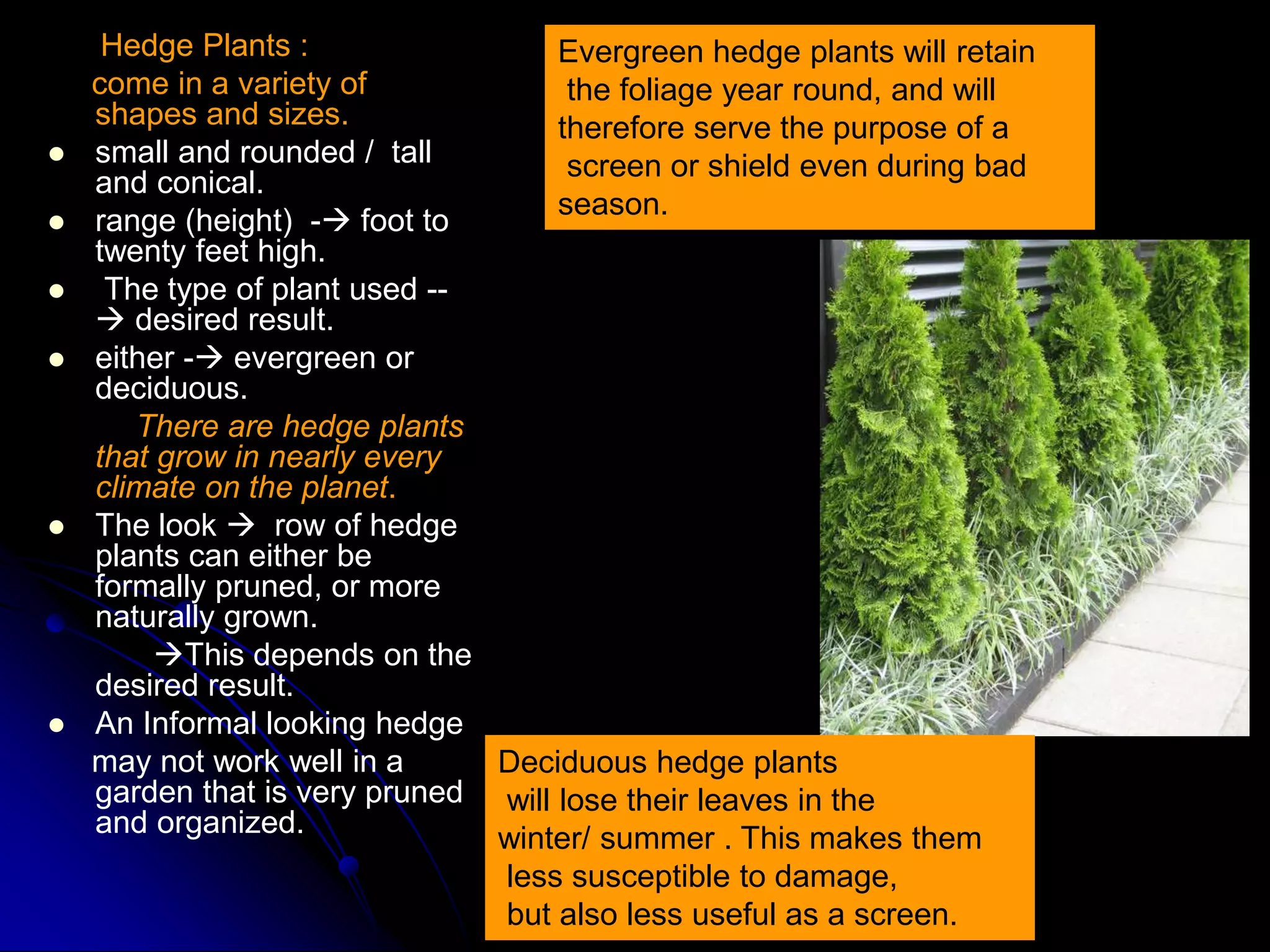 Hedges , edges & topiary ed | PPT