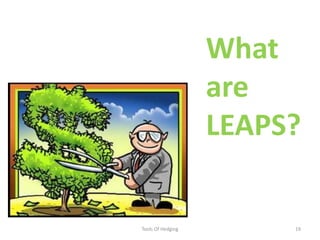 Tools Of Hedging19What are LEAPS?