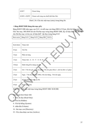 O
PEN
.PTIT.ED
U
.VN
37
(F)FF7 Cluster hỏng
(F)FF8 - (F)FFF Cluster cuối cùng của chuỗi (kết thúc file)
Hình 2.36: Cấu trúc một mục (entry) trong bảng fat.
+ Bảng ROOT DIR (bảng thư mục gốc)
Bảng ROOT DIR nằm ngay sau FAT, và mỗi mục của bảng DIR là 32 byte. Khi hệ thống mở một
File/ thư mục, MS-DOS tìm tên File/thư mục trong bảng ROOT DIR, lấy số hiệu khối đầu đã cấp
cho file/thư mục và tìm các số hiệu khối tiếp theo trong bảng FAT.
Boot sector Bảng FAT1 Bảng FAT2 Bảng DIR DATA
Kích thước Thuộc tính
8 byte Tên File
3 byte Phần mở rộng
1 byte Thuộc tính : A – D – V – S - H - R
10 byte Dành riêng để sử dụng sau này.
2 byte Giờ : 5 bit cho giờ, 6 bit cho phút, 5 bit cho giây (thieu 1, nên lưu đơn vị 2 giây)
2 byte Ngày : 7 bit cho năm (từ 1980), 4 bit cho tháng, 5 bit cho ngày.
2 byte Số hiệu khối đầu tiên của file
4 byte Kích thước File
Hình 2.37: Cấu trúc một mục trong bảng ROOT DIR/ SUB DIR
Giá trị của byte thuộc tính:
1 : File chỉ đọc (Read Only)
2 : File ẩn (Hidden)
4 : File hệ thống (System)
8 : nhãn đĩa (Volume)
16 : thư mục con (Directory)
32 : File chưa được sao lưu (Archive)
9
 