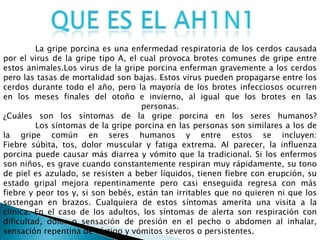 La gripe porcina es una enfermedad respiratoria de los cerdos causada
por el virus de la gripe tipo A, el cual provoca brotes comunes de gripe entre
estos animales.Los virus de la gripe porcina enferman gravemente a los cerdos
pero las tasas de mortalidad son bajas. Estos virus pueden propagarse entre los
cerdos durante todo el año, pero la mayoría de los brotes infecciosos ocurren
en los meses finales del otoño e invierno, al igual que los brotes en las
personas.
¿Cuáles son los síntomas de la gripe porcina en los seres humanos?
Los síntomas de la gripe porcina en las personas son similares a los de
la gripe común en seres humanos y entre estos se incluyen:
Fiebre súbita, tos, dolor muscular y fatiga extrema. Al parecer, la influenza
porcina puede causar más diarrea y vómito que la tradicional. Si los enfermos
son niños, es grave cuando constantemente respiran muy rápidamente, su tono
de piel es azulado, se resisten a beber líquidos, tienen fiebre con erupción, su
estado gripal mejora repentinamente pero casi enseguida regresa con más
fiebre y peor tos y, si son bebés, están tan irritables que no quieren ni que los
sostengan en brazos. Cualquiera de estos síntomas amerita una visita a la
clínica. En el caso de los adultos, los síntomas de alerta son respiración con
dificultad, dolor o sensación de presión en el pecho o abdomen al inhalar,
sensación repentina de vértigo y vómitos severos o persistentes.
 