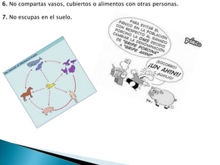 6. No compartas vasos, cubiertos o alimentos con otras personas.
7. No escupas en el suelo.
 