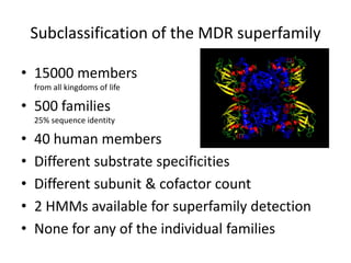 Subclassification of the MDR superfamily

• 15000 members
    from all kingdoms of life

• 500 families
    25% sequence identity

•   40 human members
•   Different substrate specificities
•   Different subunit & cofactor count
•   2 HMMs available for superfamily detection
•   None for any of the individual families
 