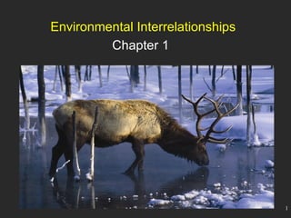 Environmental Interrelationships Chapter 1 