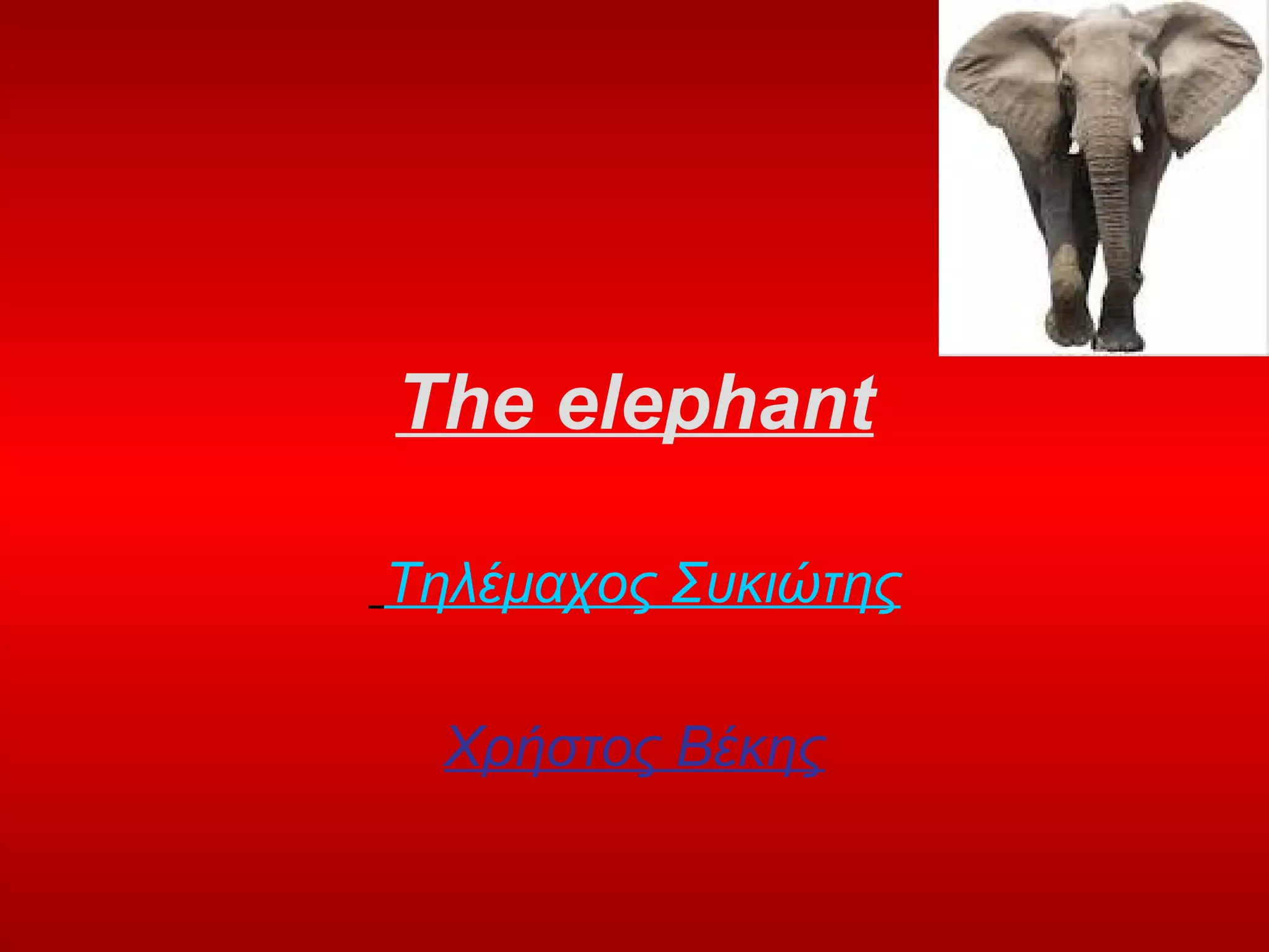 he-elephant-1-ppt
