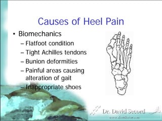Heel Pain