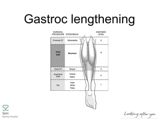 Gastroc lengthening
 