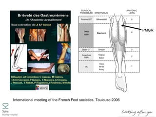 PMGR
International meeting of the French Foot societies, Toulouse 2006
 