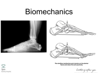Biomechanics
 