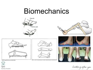 Biomechanics
 