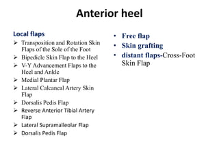 Anterior heel
Local flaps
 Transposition and Rotation Skin
Flaps of the Sole of the Foot
 Bipedicle Skin Flap to the Heel
 V-Y Advancement Flaps to the
Heel and Ankle
 Medial Plantar Flap
 Lateral Calcaneal Artery Skin
Flap
 Dorsalis Pedis Flap
 Reverse Anterior Tibial Artery
Flap
 Lateral Supramalleolar Flap
 Dorsalis Pedis Flap
• Free flap
• Skin grafting
• distant flaps-Cross-Foot
Skin Flap
 