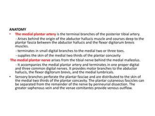 ANATOMY
• The medial plantar artery is the terminal branches of the posterior tibial artery.
- Arises behind the origin of the abductor hallucis muscle and courses deep to the
plantar fascia between the abductor hallucis and the flexor digitorum brevis
muscles.
- terminates in small digital branches to the medial two or three toes.
- supplies the skin of the medial two thirds of the plantar concavity
The medial plantar nerve arises from the tibial nerve behind the medial malleolus.
- It accompanies the medial plantar artery and terminates in one proper digital
and three common digital nerves. It provides motor branches to the abductor
hallucis, the flexor digitorum brevis, and the medial lumbricals.
• Sensory branches perforate the plantar fasciae and are distributed to the skin of
the medial two thirds of the plantar concavity. The plantar cutaneous fascicles can
be separated from the remainder of the nerve by perineurial dissection. The
greater saphenous vein and the venae comitantes provide venous outflow.
 