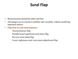 Sural Flap
• Reconstruction around the ankle and foot.
• Advantages are an extensive mobility and versatility, without sacrificing
important arteries.
• Flap had several nomenclatures:
Neurocutaneous flap,
Distally based superficial sural artery flap,
Reverse sural island flap,
Lesser saphenous sural veno-neuro adipofascial flap.
 