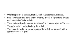 • Once the pedicle is isolated, the flap, with fascia included, is raised.
• Small arteries arising from the fibular artery should be ligated and divided
within the adipofascial pedicle.
• The arc of rotation allows easy coverage of the posterior aspect of the heel.
• The skin bridge is incised to bury the pedicle.
• The donor site and the exposed aspect of the pedicle are covered with a
split thickness skin graft
 