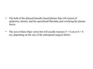 • The bulk of the delayed laterally based plantar flap will consist of
epidermis, dermis, and the specialized fibrofatty pad overlying the plantar
fascia.
• The size of these flaps varies but will usually measure 5 × 6 cm or 6 × 8
cm, depending on the size of the anticipated surgical defect
 