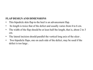 FLAP DESIGN AND DIMENSIONS
• This bipedicle skin flap to the heel is an advancement flap.
• Its length is twice that of the defect and usually varies from 4 to 6 cm.
• The width of the flap should be at least half the length, that is, about 2 to 3
cm.
• The lateral incision should parallel the vertical long axis of the ulcer .
• Two bipedicle flaps, one on each side of the defect, may be used if the
defect is too large .
 