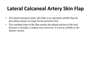 Lateral Calcaneal Artery Skin Flap
• The lateral calcaneal artery skin flap is an extremely reliable flap for
providing sensate coverage for the posterior heel .
• The extended form of the flap reaches the plantar portion of the heel.
Because it includes a random area, however, it is not as reliable as the
shorter version.
 