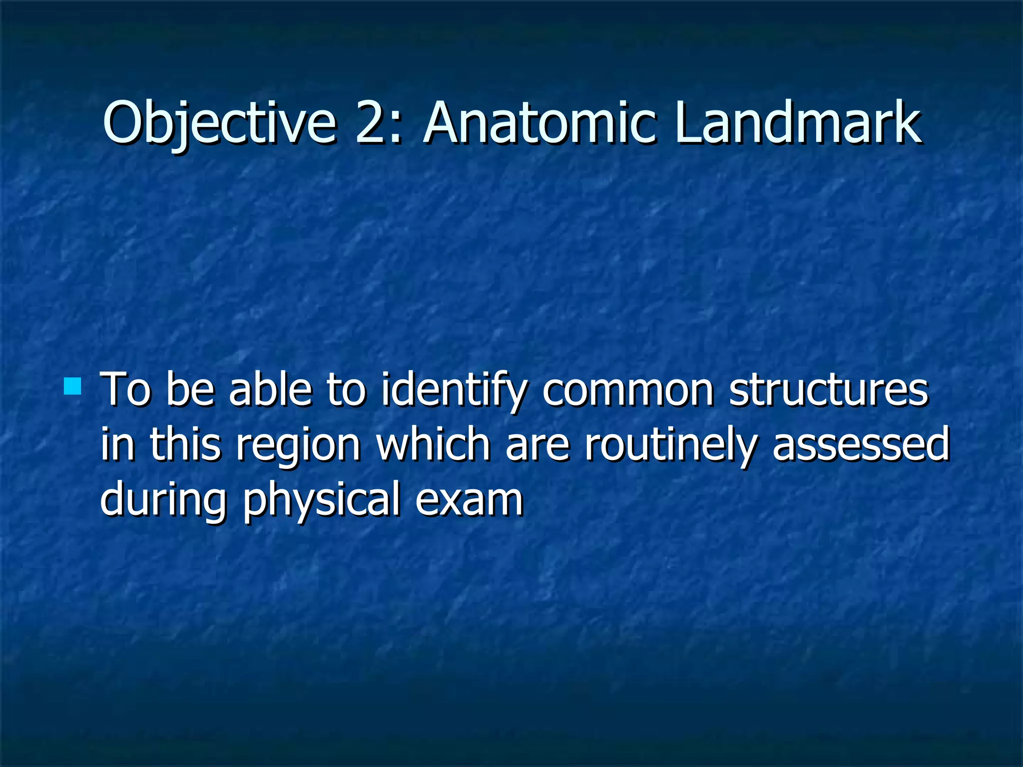 Objective 2: Anatomic Landmark To be able to identify common structures in this region which are routinely assessed during physical exam 