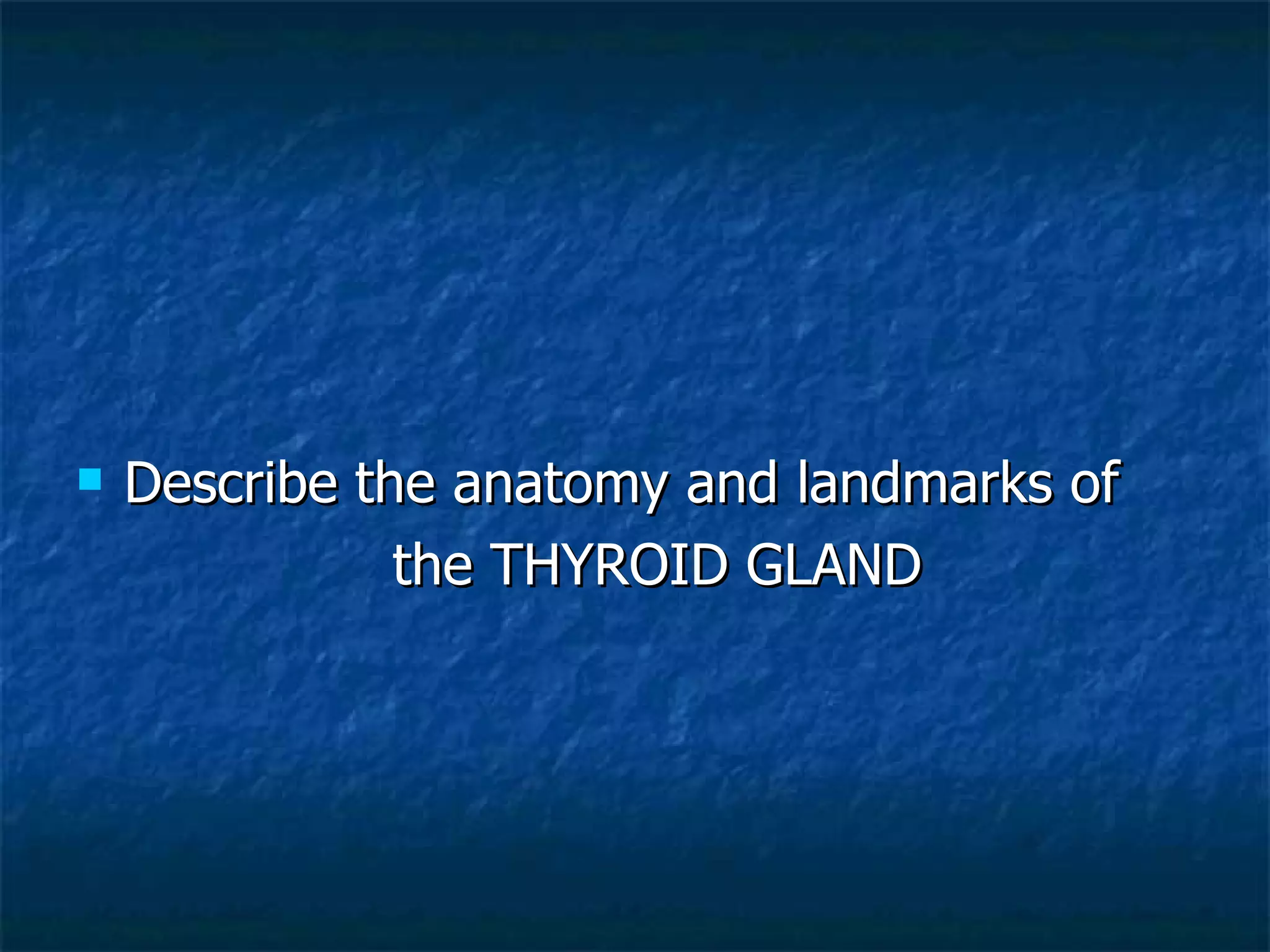 Describe the anatomy and landmarks of  the THYROID GLAND 