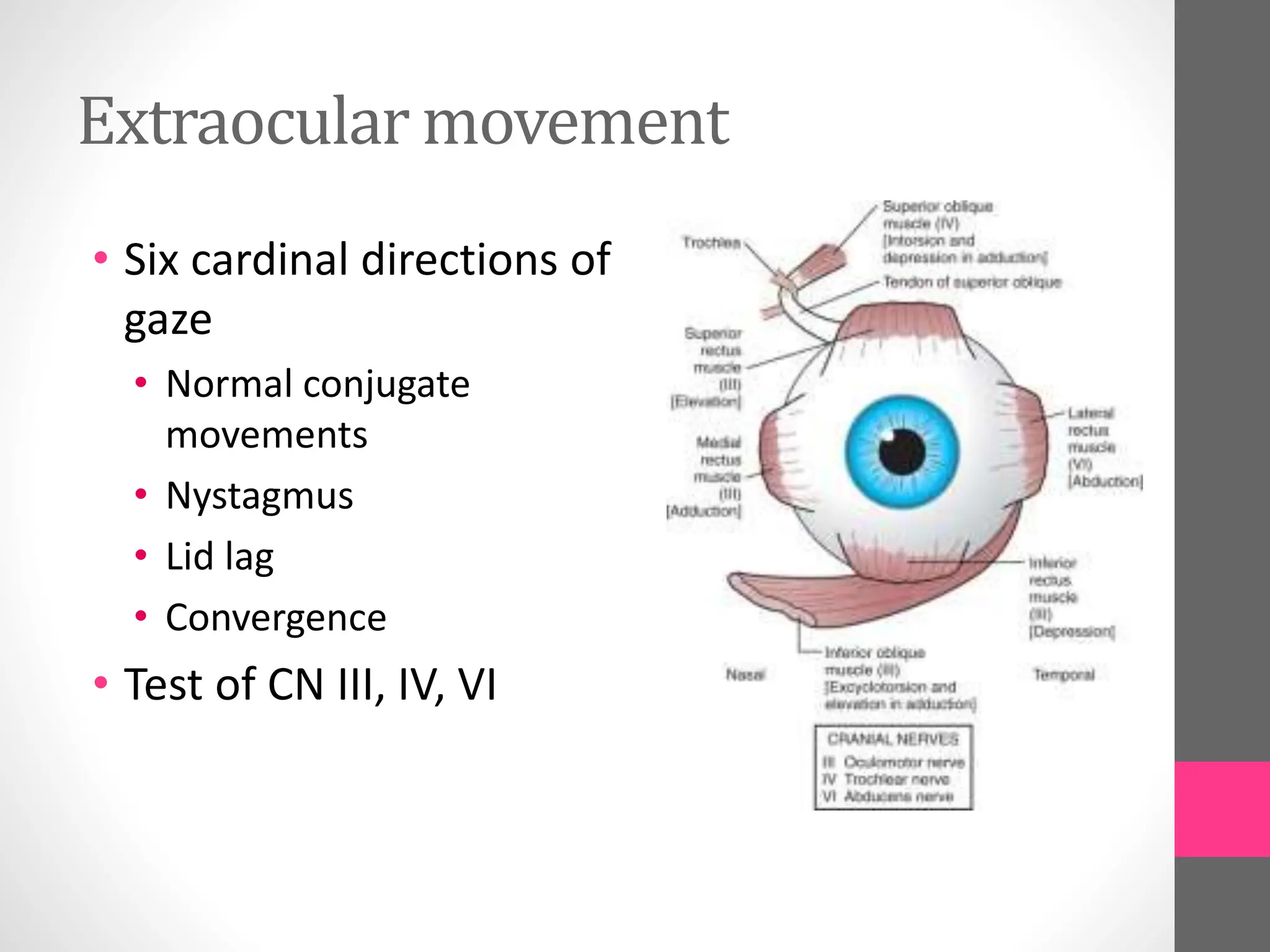 Extraocular movement
• Six cardinal directions of
gaze
• Normal conjugate
movements
• Nystagmus
• Lid lag
• Convergence
• Test of CN III, IV, VI
 