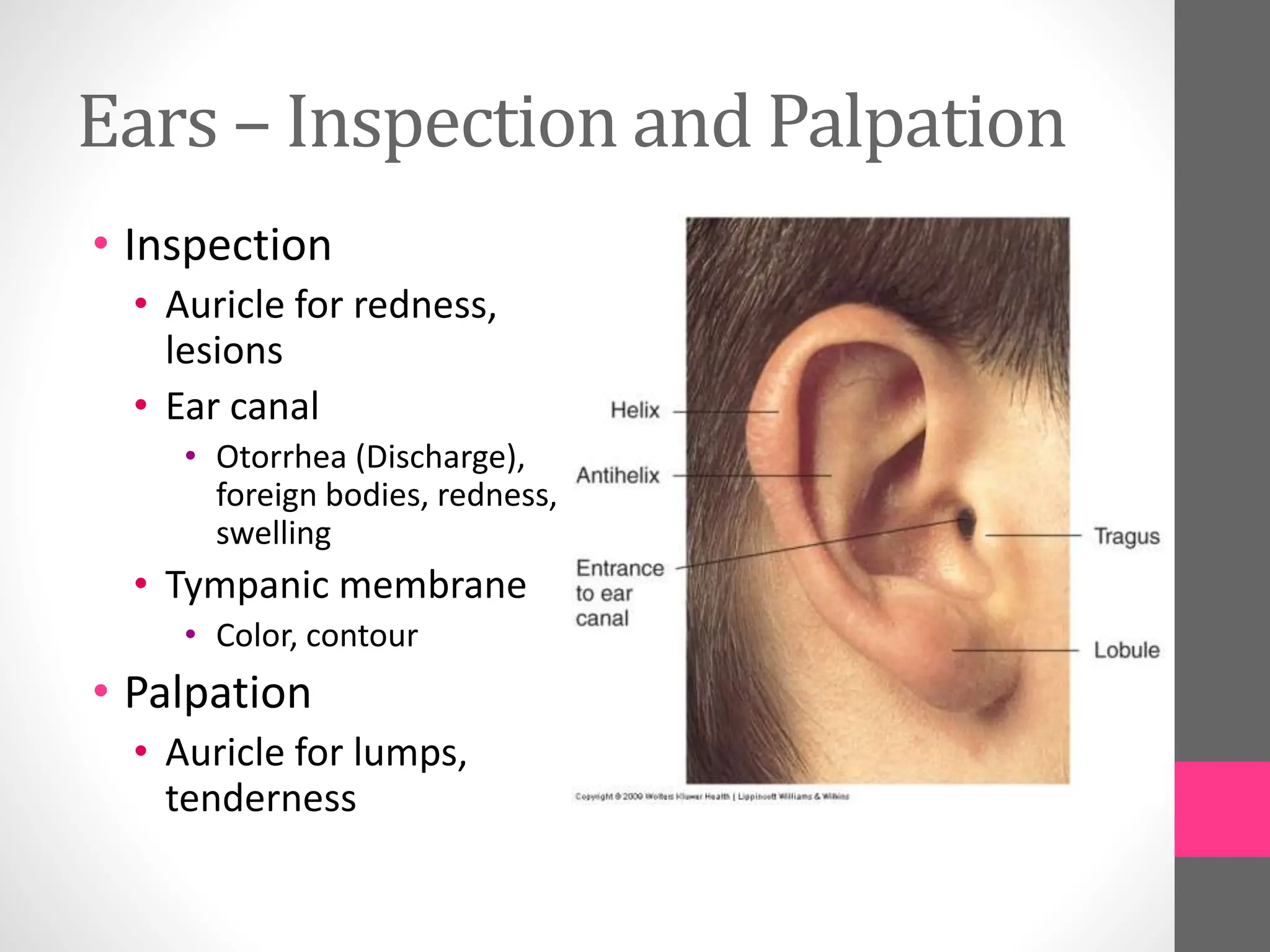 Ears – Inspection and Palpation
• Inspection
• Auricle for redness,
lesions
• Ear canal
• Otorrhea (Discharge),
foreign bodies, redness,
swelling
• Tympanic membrane
• Color, contour
• Palpation
• Auricle for lumps,
tenderness
 