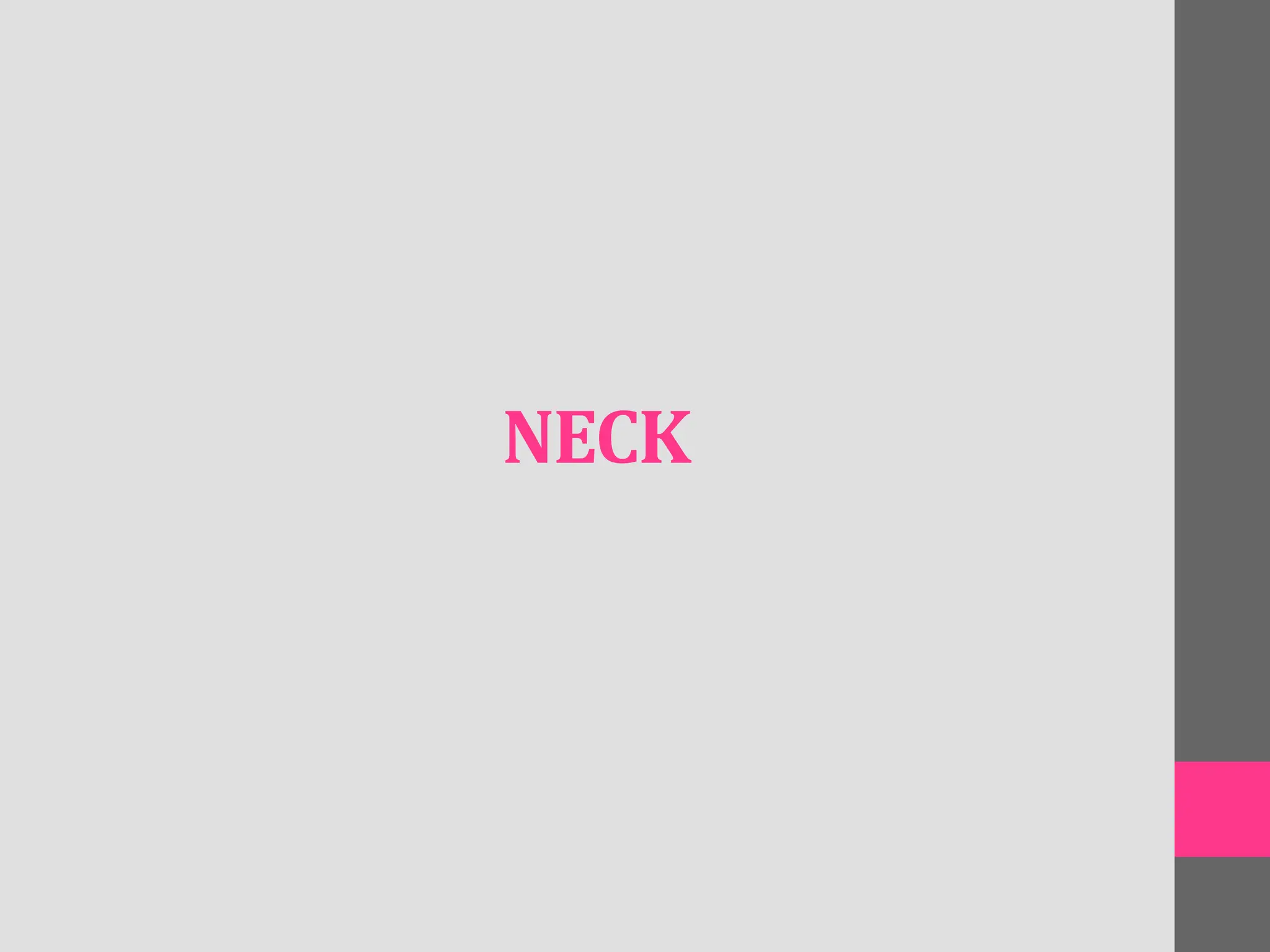 NECK
 